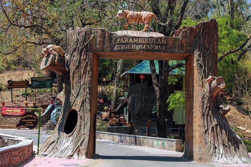 Parambikulam-Jungle-Safari