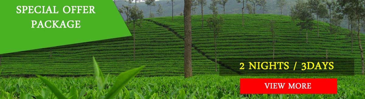 valparai-offer-package
