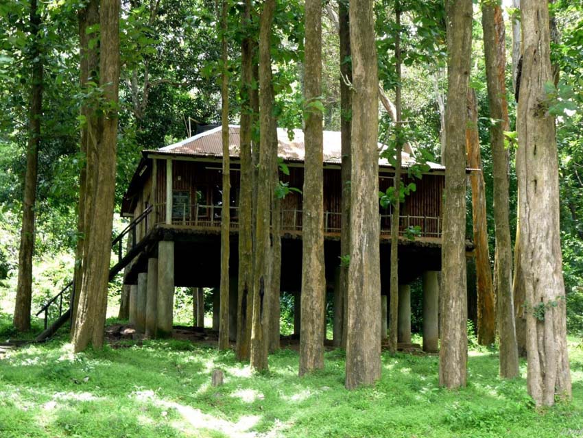 valparai-tree-house